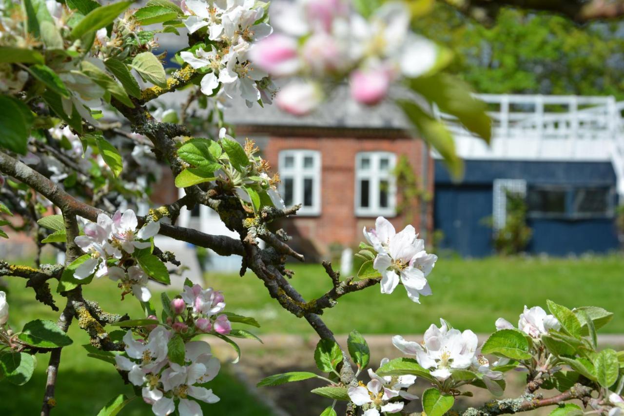 Kirkely Bed And Breakfast Vester Ulslev エクステリア 写真