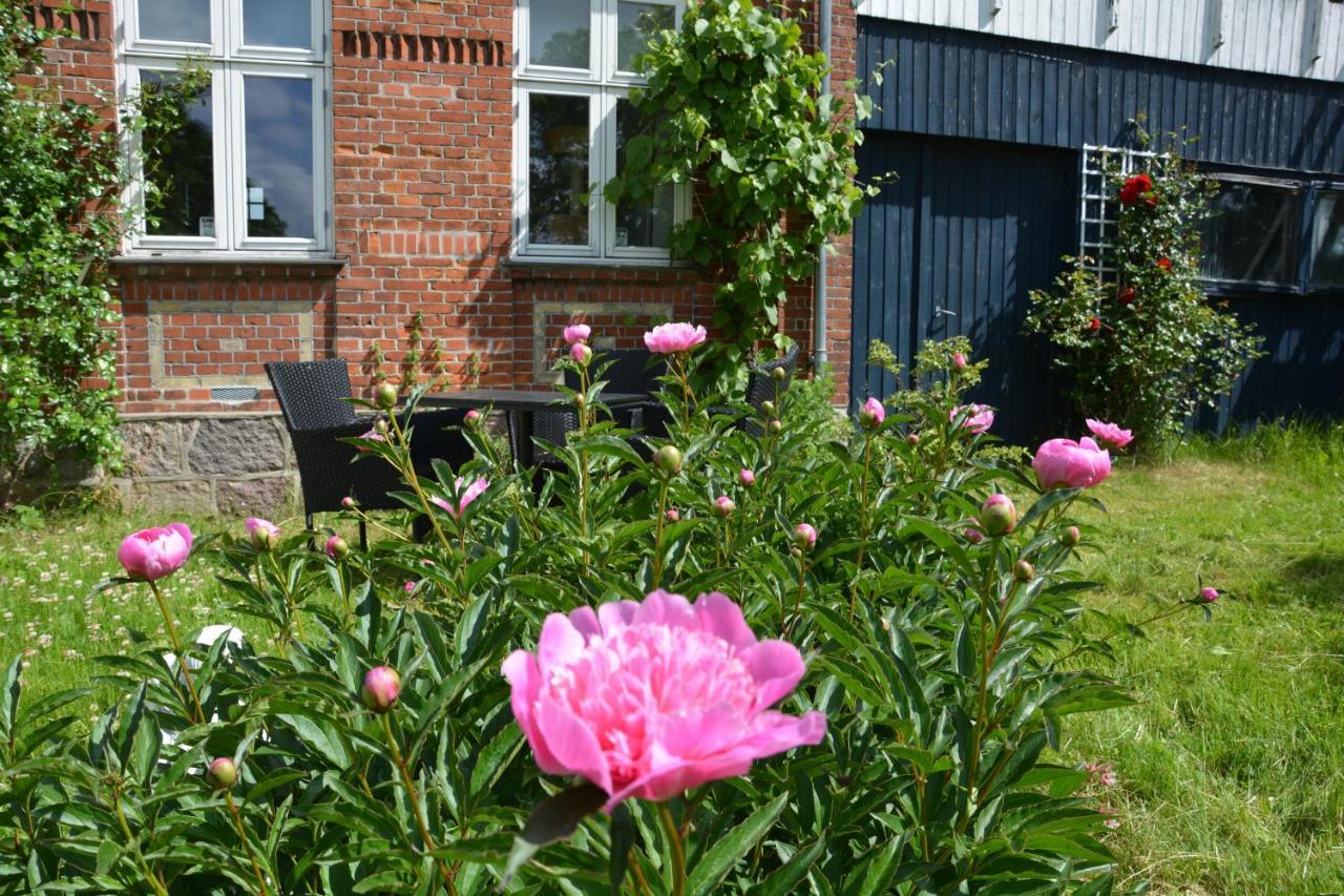 Kirkely Bed And Breakfast Vester Ulslev エクステリア 写真