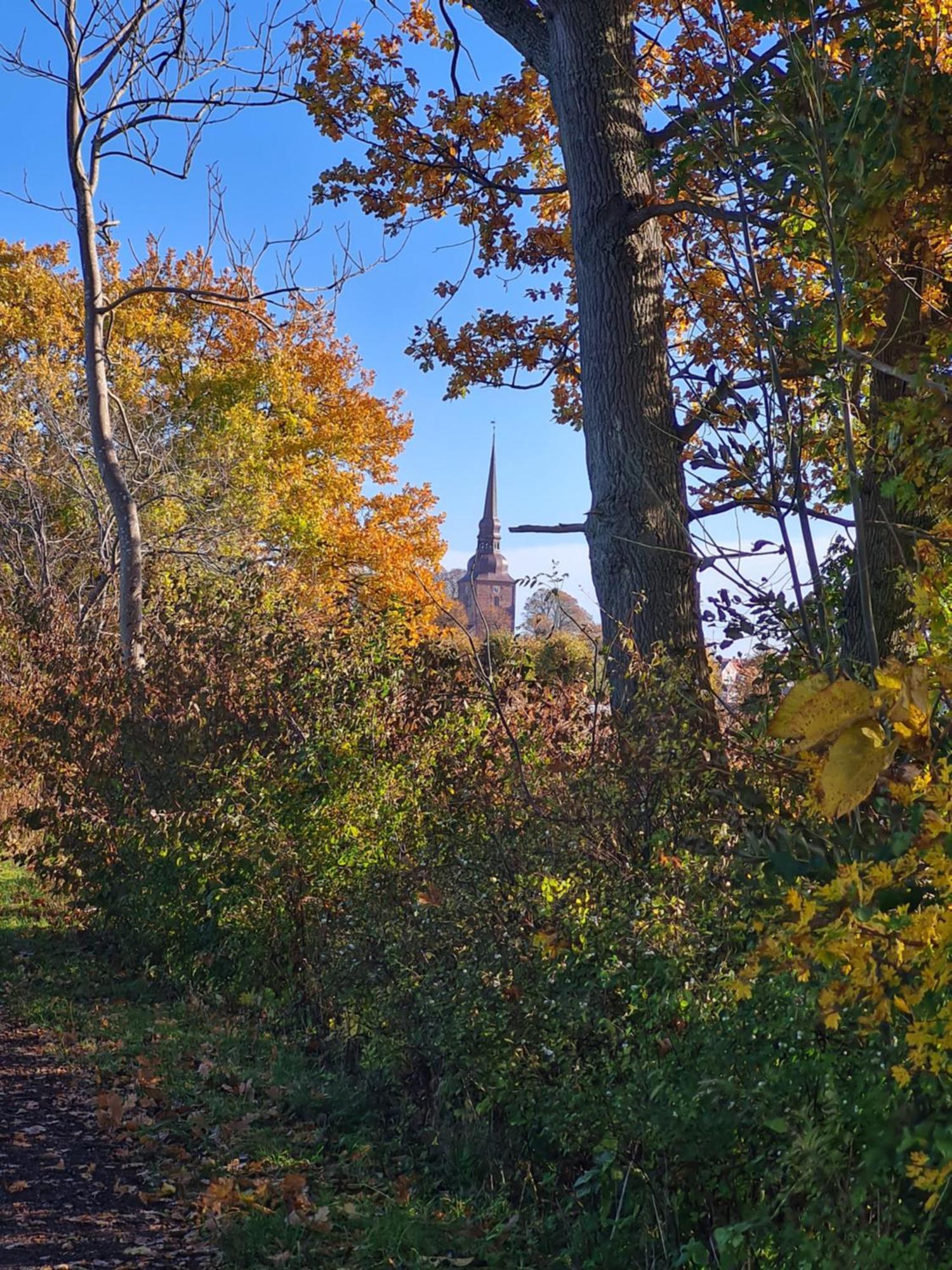 Kirkely Bed And Breakfast Vester Ulslev エクステリア 写真